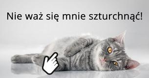 Czy potrafiłbyś/abyś zaopiekować się kotem?