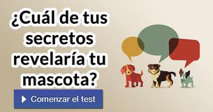 ¿Cuál de tus secretos revelaría tu mascota?