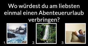 Was für ein Bär bist du?