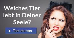 Welches Tier lebt in Deiner Seele? 