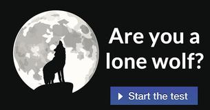 Are you a lone wolf?