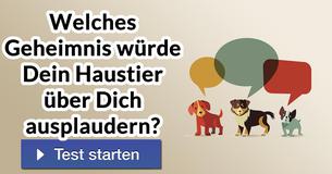 Welches Geheimnis würde Dein Haustier über Dich ausplaudern?