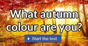 What autumn colour are you?