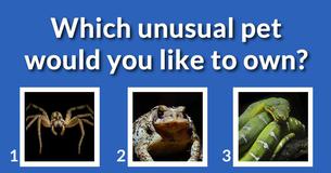 Which character of the Addams Family are you? 