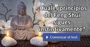 ¿Cuáles principios del Feng Shui sigues instintivamente?