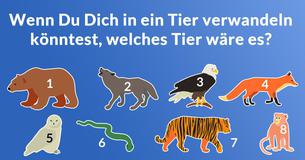 Welche Märchenfigur bist Du? 