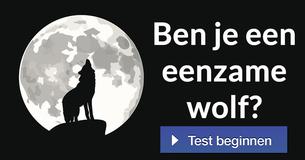 Ben je een eenzame wolf?