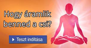Hogy áramlik benned a csi?