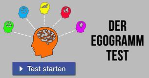 Der Egogramm Test