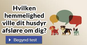 Hvilken hemmelighed ville dit husdyr afsløre om dig?