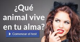 ¿Qué animal vive en tu alma?