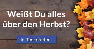Weißt Du alles über den Herbst? 
