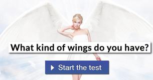 What kind of wings do you have?
