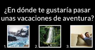 ¿Qué tipo de oso eres?