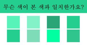 당신의 시각은 실제로 얼마나 좋은 편인가요?