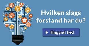 Hvilken slags forstand har du?
