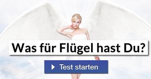 Was für Flügel hast Du?