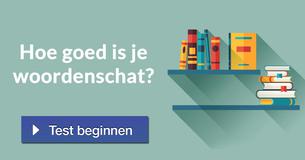 Hoe goed is je woordenschat?