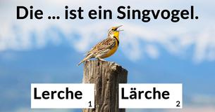 Kannst Du diese wirklich schweren Sätze korrigieren?