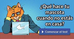 ¿Qué hace tu mascota cuando no estás en casa?