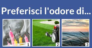 Sei aria, acqua, fuoco o terra? 