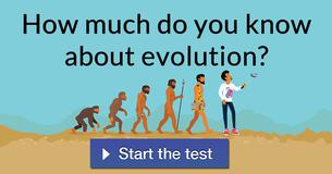 How much do you know about evolution?