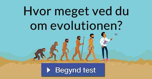 Hvor meget ved du om evolutionen?