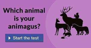 Which animal is your animagus?