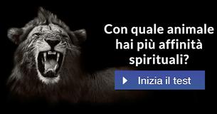 Con quale animale hai più affinità spirituali?