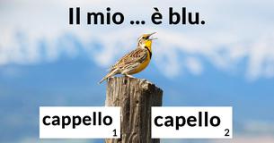 Riesci a correggere queste difficili frasi?