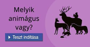 Melyik animágus vagy?