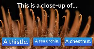Only 1 in 50 people can recognize these close-ups! Can you?