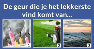 Ben je lucht, water, vuur of aarde?