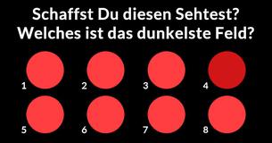 Kannst Du wirklich alle Schattierungen erkennen?