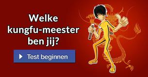 Welke kungfu-meester ben jij?