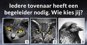 Wat is je magische kracht?