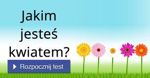 Jakim jesteś kwiatem?
