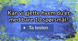 Kan vi gjette hvem du er med bare 10 spørsmål?
