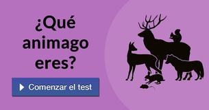 ¿Qué animago eres?