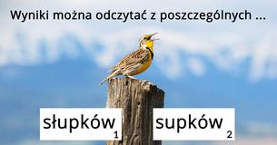 Czy potrafisz uzupełnić te naprawdę trudne zdania?