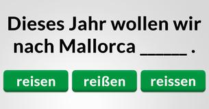 Kannst Du das korrekte Wort auswählen?