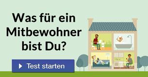 Was für ein Mitbewohner bist Du?