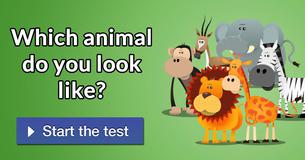 Which animal do you look like?