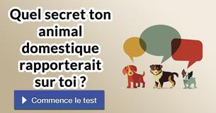 Quel secret ton animal domestique rapporterait sur toi ?