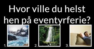 Hvilken slags bjørn er du?