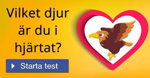 Vilket djur är du i hjärtat?