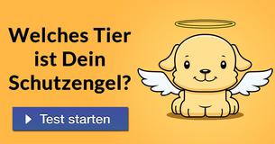 Welches Tier ist Dein Schutzengel? 