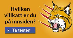 Hvilken villkatt er du på innsiden?