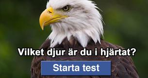 Vilket djur är du i hjärtat?