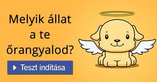 Melyik állat a te őrangyalod?